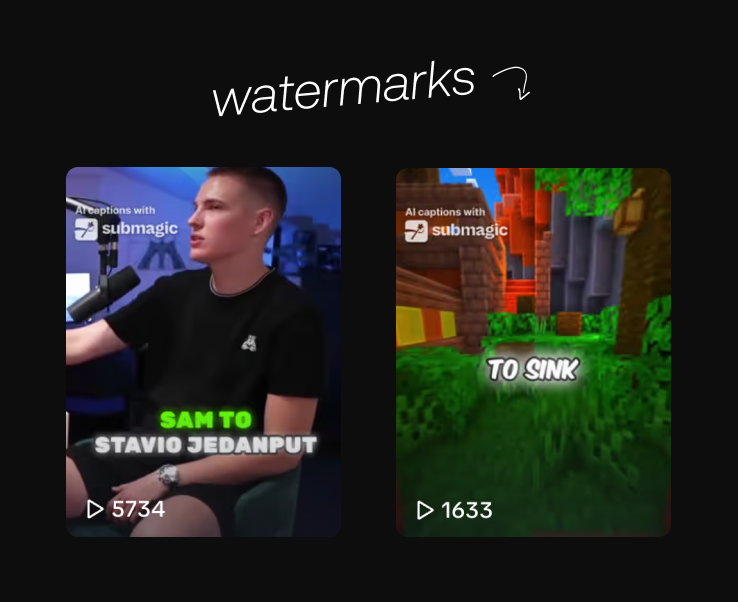 Bild 4: Submagic TikTok Video Wasserzeichen